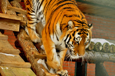 Similar image 21781065