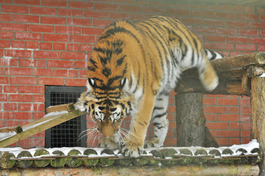 Similar image 21781066