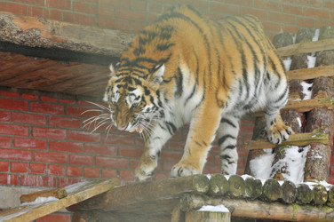 Similar image 21781068