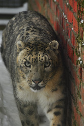 Similar image 21781069