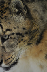 Similar image 21781070