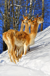 Similar image 21781071