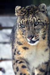 Similar image 21781074