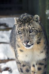 Similar image 21781076