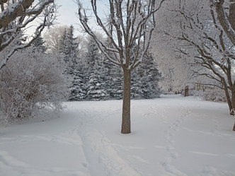 Similar image 21780582