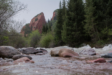 Similar image 21780853