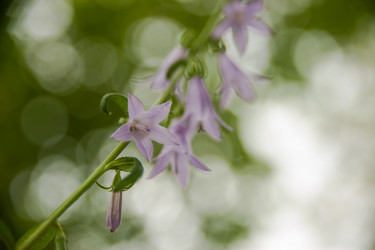 Similar image 21780860