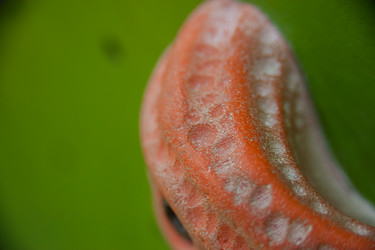 Similar image 21780864