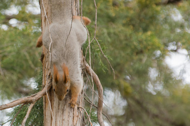 Similar image 21780866