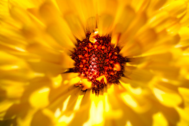 Similar image 21780868