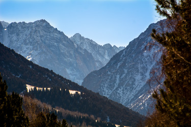 Similar image 21780874