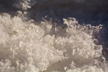 Similar image 21780875