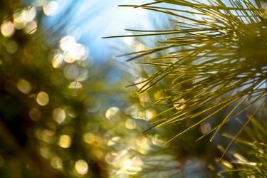 Similar image 21780876