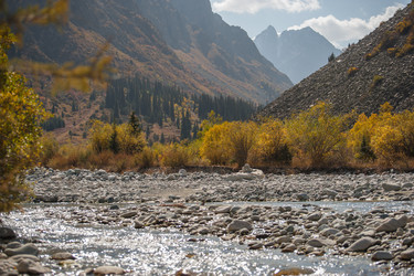 Similar image 21780877