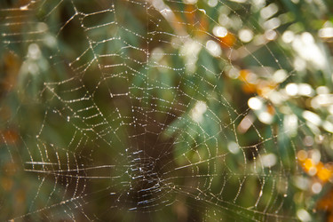 Similar image 21780878