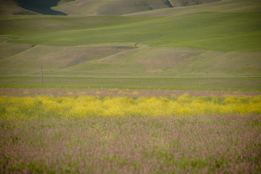 Similar image 21780880