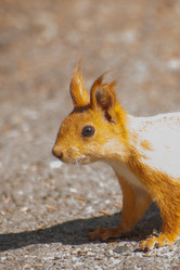 Similar image 21780881