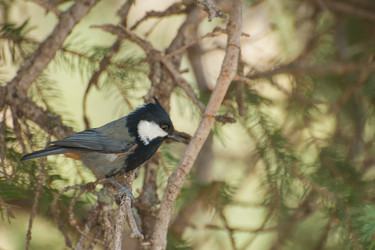 Similar image 21780883