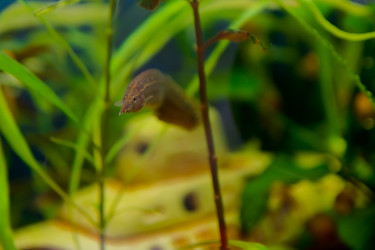 Similar image 21780884