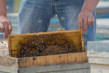 Similar image 21780890