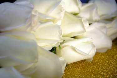 Similar image 21780893