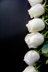 Similar image 21780894