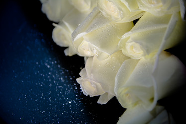 Similar image 21780895