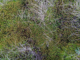 Similar image 21780003