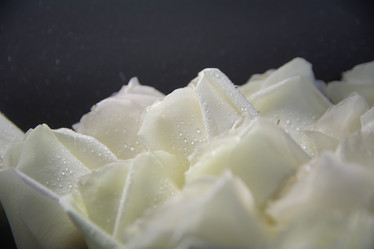 Similar image 21780896