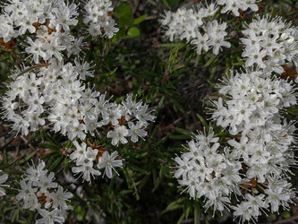 Similar image 21780788