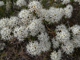 Similar image 21780789