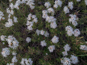 Similar image 21780790