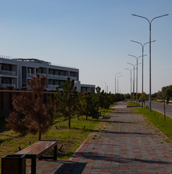 Similar image 21782419