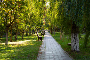 Similar image 21782570