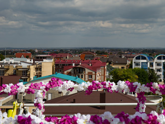 Similar image 21782575