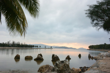 Similar image 21780799