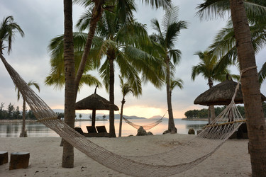 Similar image 21780804