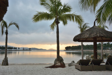 Similar image 21780901