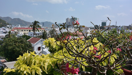 Similar image 21780912