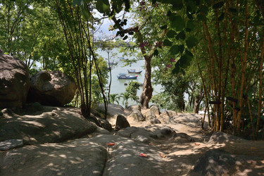 Similar image 21780915