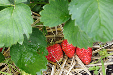 Similar image 21780597