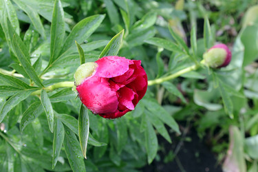 Similar image 21780600