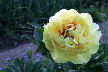 Similar image 21780603