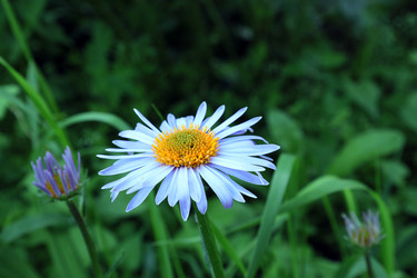 Similar image 21780604