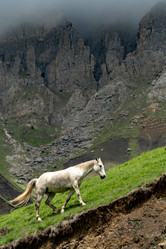 Similar image 21780736