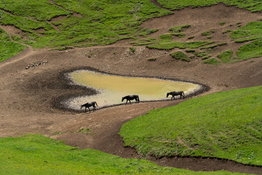 Similar image 21780737