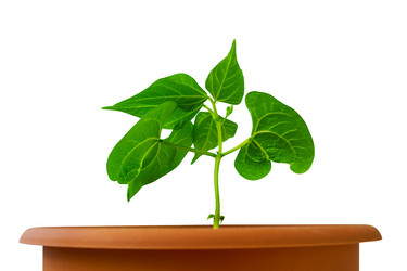 Similar image 21780620