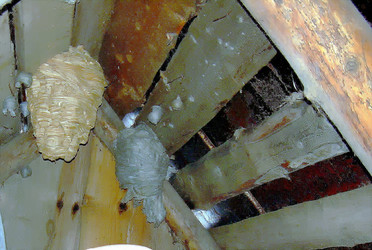 Similar image 21780959