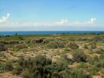 Similar image 21780961