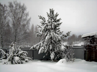 Similar image 21780963